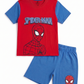 Boys Spiderman Shirt with Shorts Summer Set